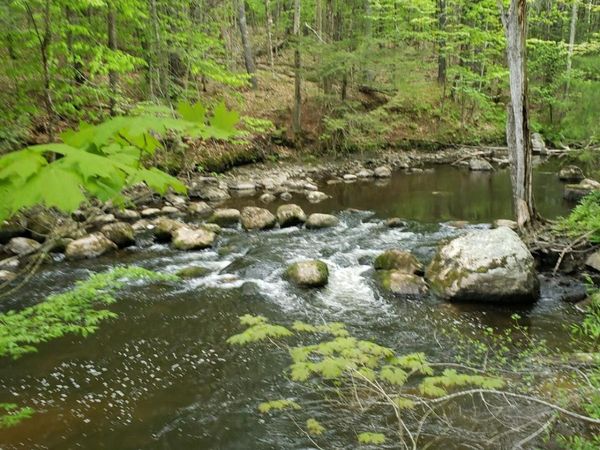 0 Hall Road , Windham, ME 04062