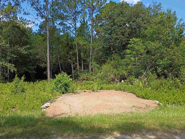 10545 Zigler Ave, Hastings, FL 32145