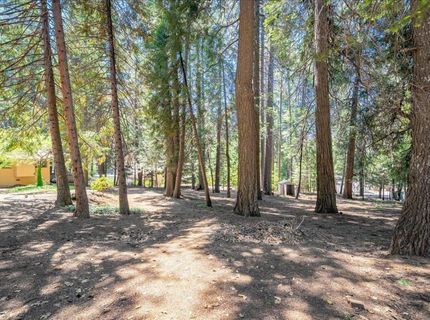 2226 Blair Rd, Pollock Pines, CA 95726 Photo