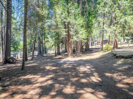 2226 Blair Rd, Pollock Pines, CA 95726 Photo