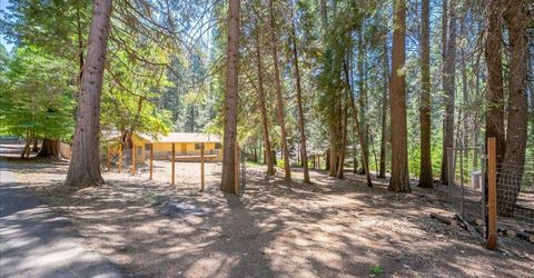 2226 Blair Rd, Pollock Pines, CA 95726 Photo