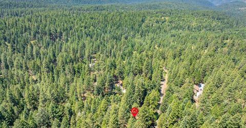 2226 Blair Rd, Pollock Pines, CA 95726 Photo