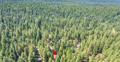 2226 Blair Rd, Pollock Pines, CA 95726 Photo