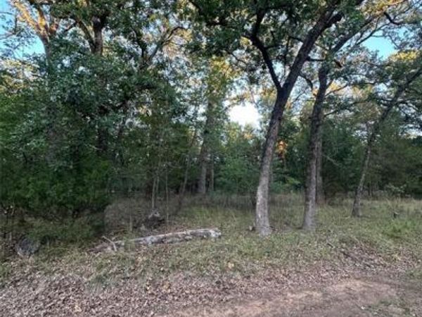 101 Cedar Oaks Drive, Mabank, TX 75156