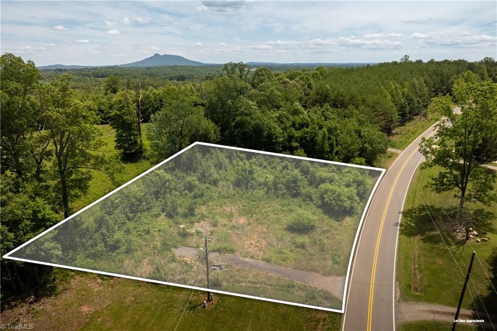 309 Ararat Longhill Road, Pilot Mountain, NC 27041 Main Photo