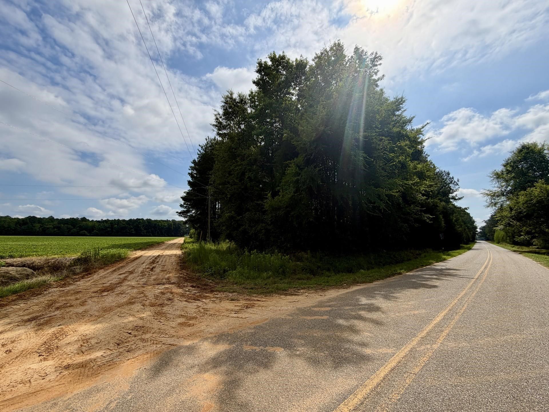 Tbd Road 300 Photo 4