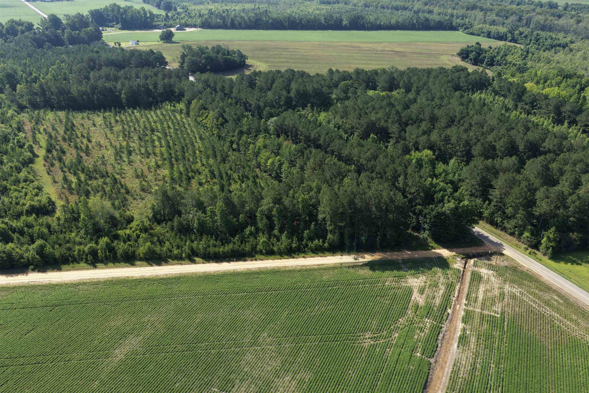 Tbd Road 300 Photo 5
