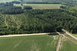 Tbd Road 300 photo 4