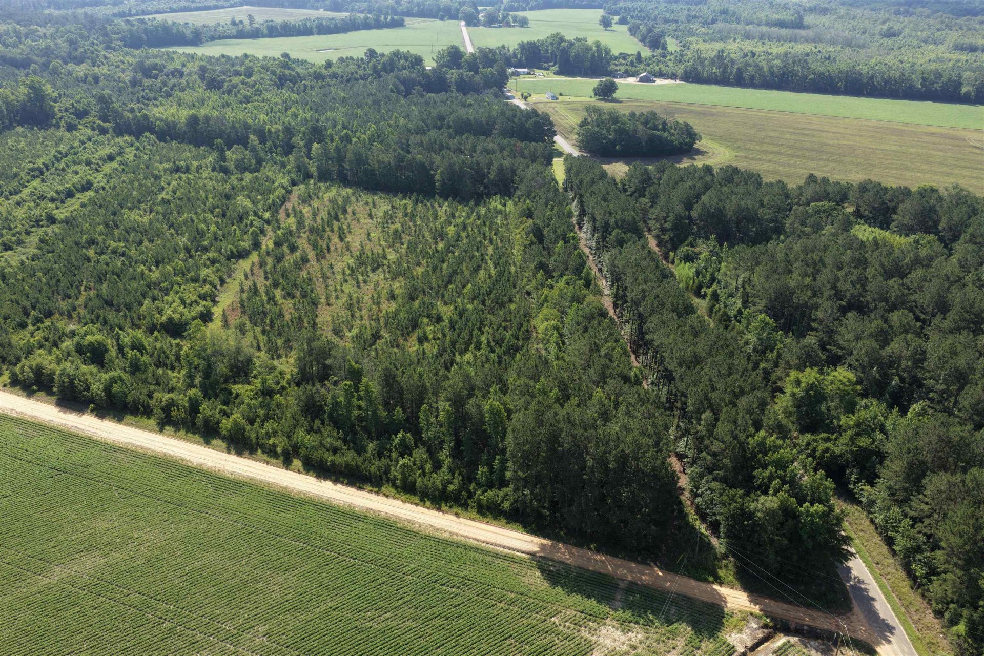 Tbd Road 300 Photo 6