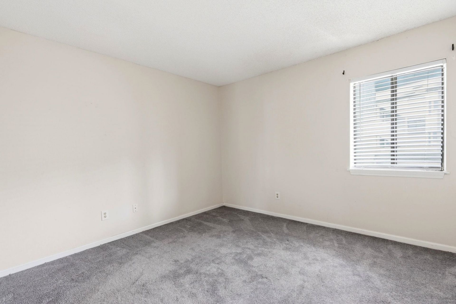 1101 Possum Trot Rd. Photo 25
