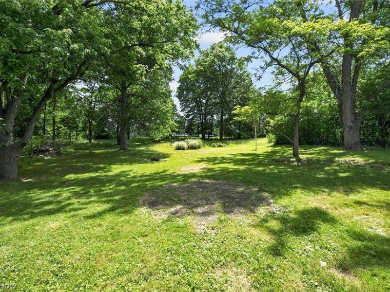 7819 Ridge Road, Parma, OH 44129 Photo 49