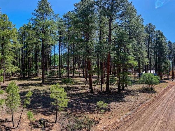 79 Spruce Way, Bayfield, CO 81122