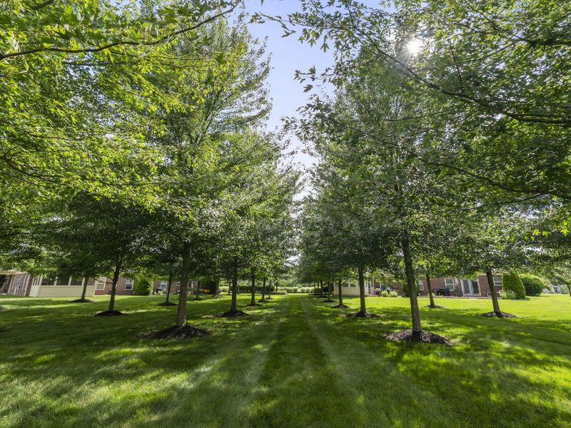 5771 Burke Circle, Unit 1202, New Albany, OH 43054 Photo 46