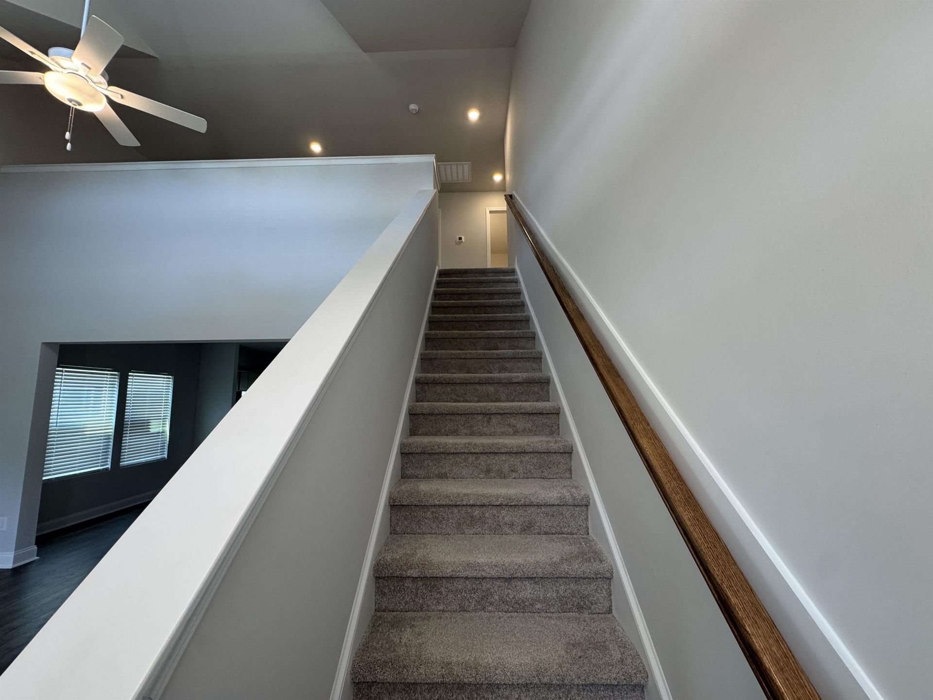 3025 Spain Ln.  Photo 45