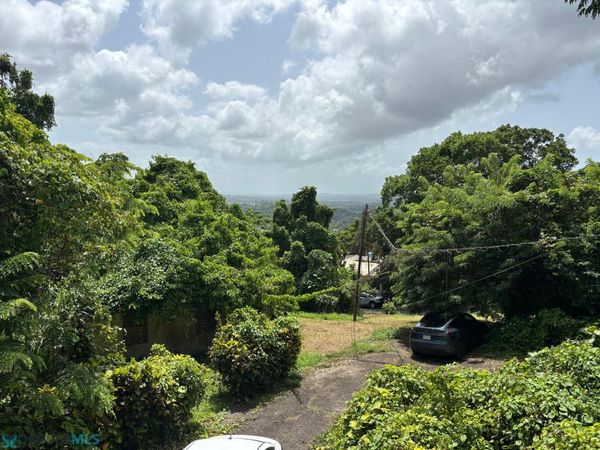 PR 967 ZARZAL, Rio Grande, PR 00721