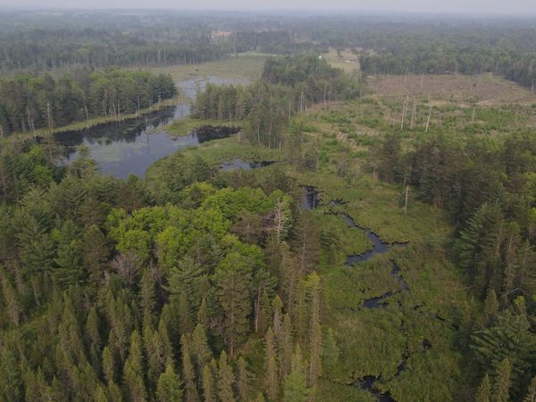 Parcel B Cherry Creek Trail, Grayling, MI 49738