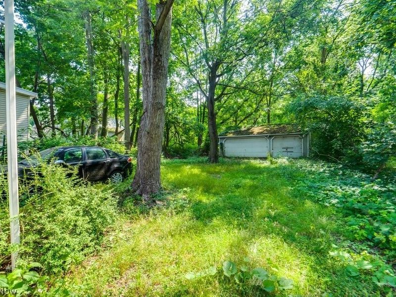 1131 Victory Street, Akron, OH 44301 Photo 15