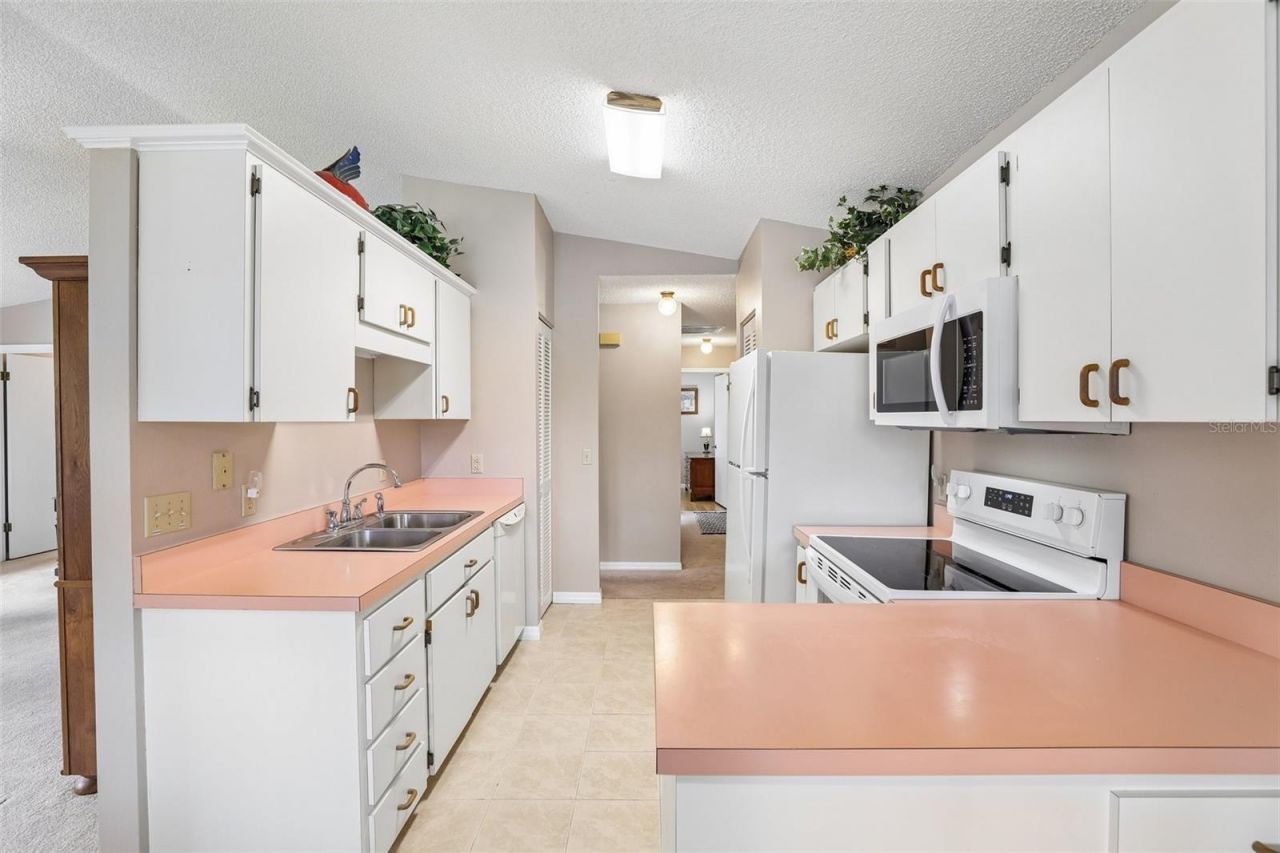 1460 Grove Street, Eustis, FL 32726 Photo
