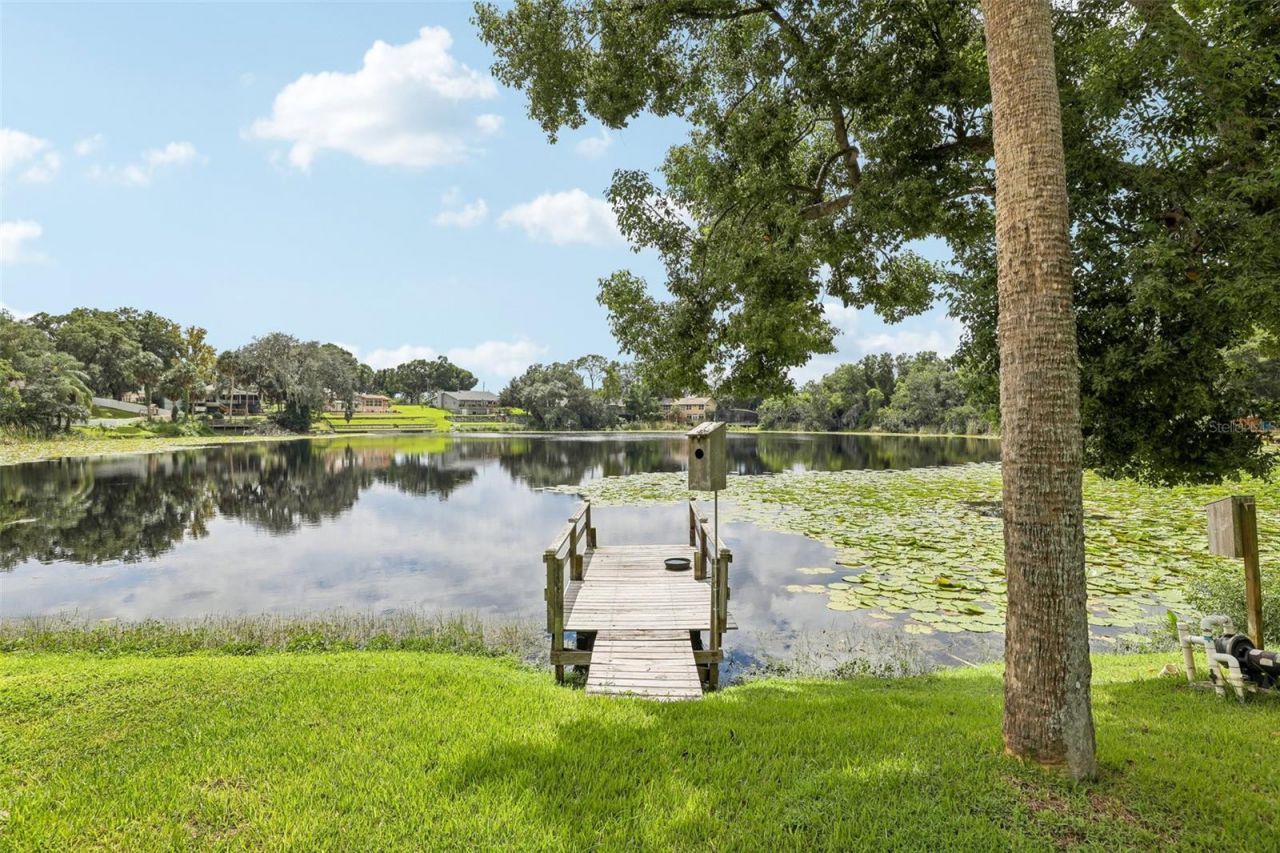 1460 Grove Street, Eustis, FL 32726 Photo