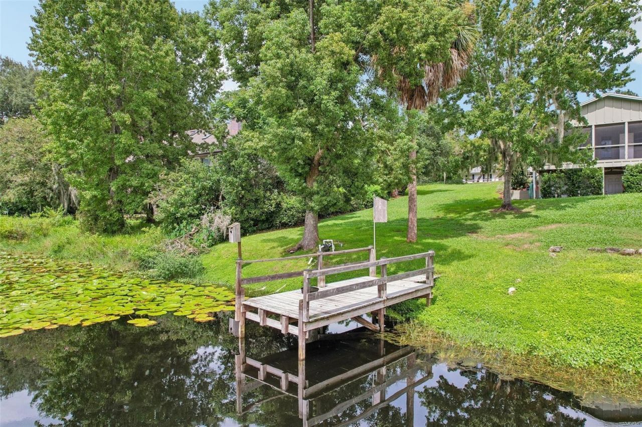 1460 Grove Street, Eustis, FL 32726 Photo