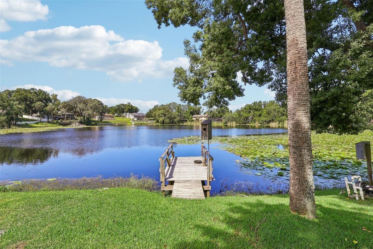 1460 Grove Street, Eustis, FL 32726 Photo
