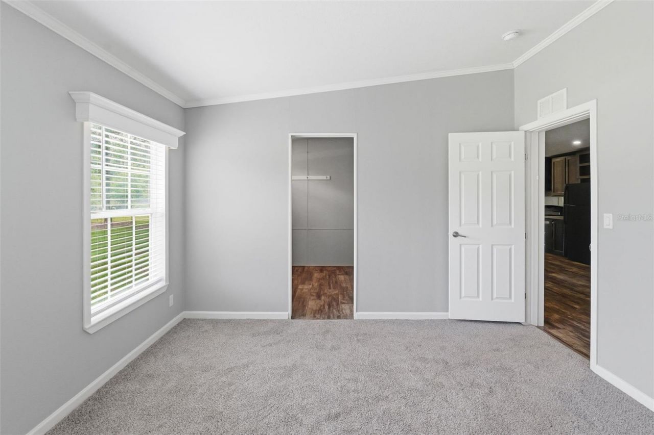7239 Rooks Drive, Wesley Chapel, FL 33545 Photo