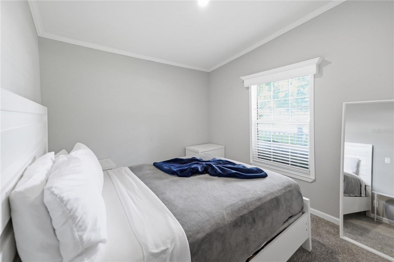 7239 Rooks Drive, Wesley Chapel, FL 33545 Photo