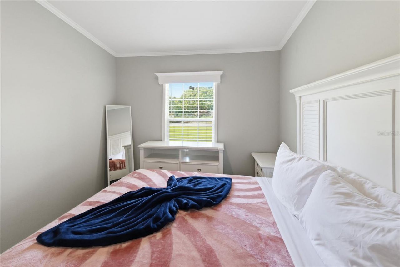 7239 Rooks Drive, Wesley Chapel, FL 33545 Photo