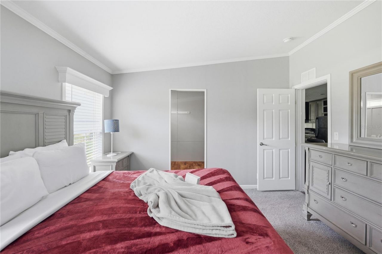 7239 Rooks Drive, Wesley Chapel, FL 33545 Photo