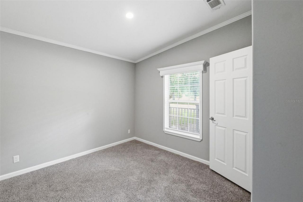 7239 Rooks Drive, Wesley Chapel, FL 33545 Photo