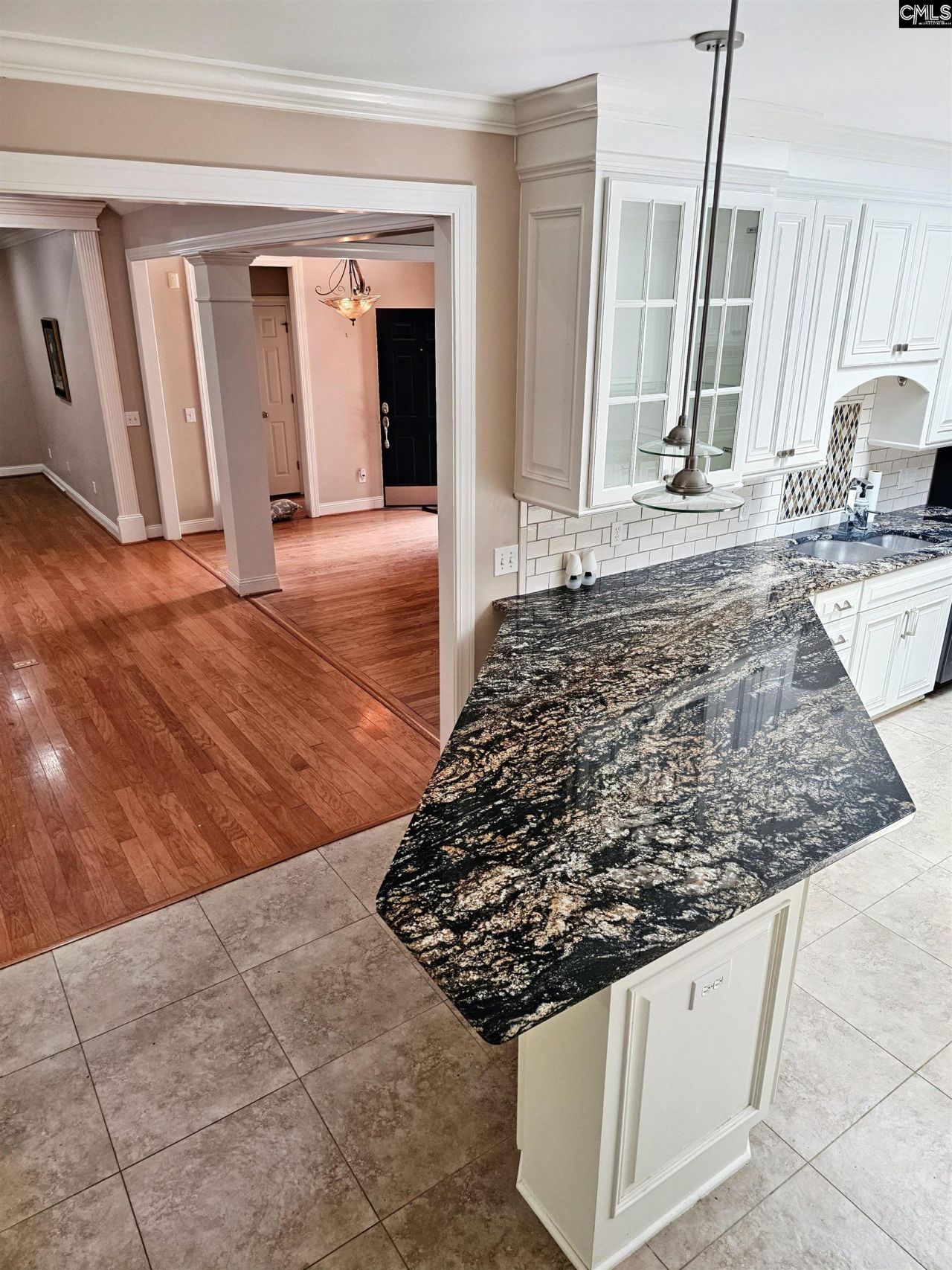 128 Spring Valley Court  Photo 28