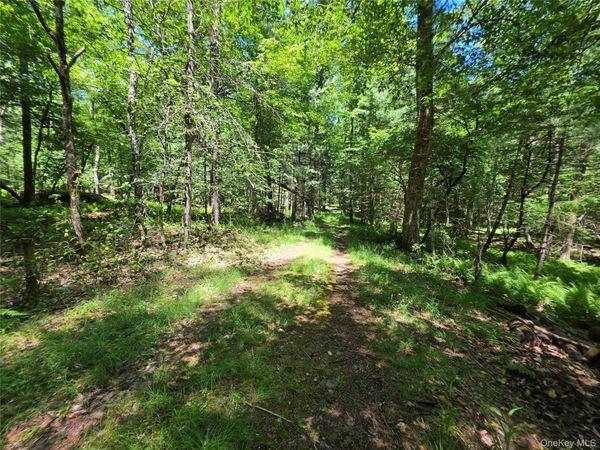 Lot #7 Camp Kenny brook Road , Monticello, NY 12701
