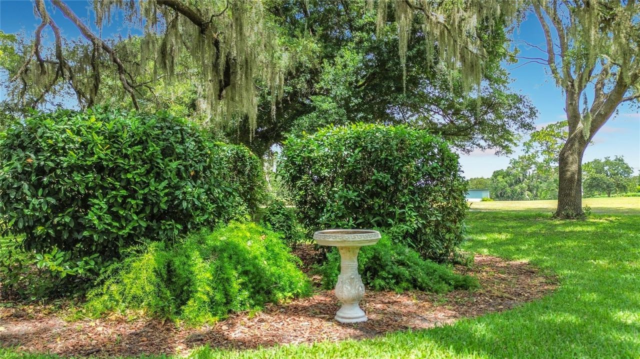 8709 E Sandpiper Drive, Inverness, FL 34450 Photo
