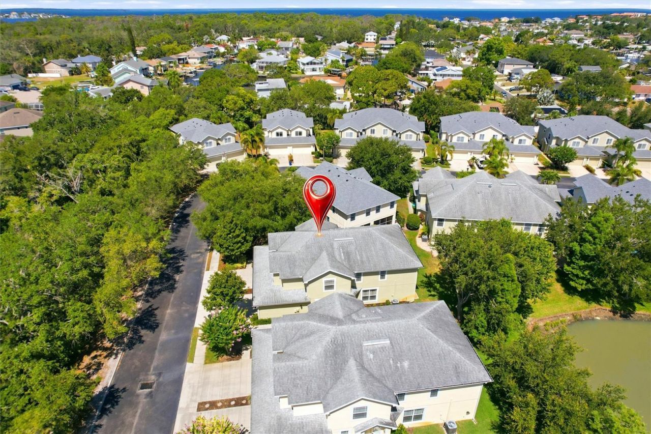 477 Harbor Ridge Drive , Palm Harbor, FL 34683 Photo