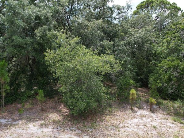 1008 WILDFLOWER STREET , LAKE PLACID, FL 33852