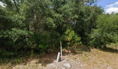 1008 Wildflower Street, Lake Placid, FL 33852 Photo