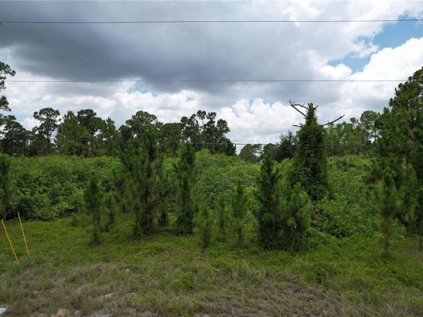 980 LAKESIDE DRIVE , LEHIGH ACRES, FL 33974