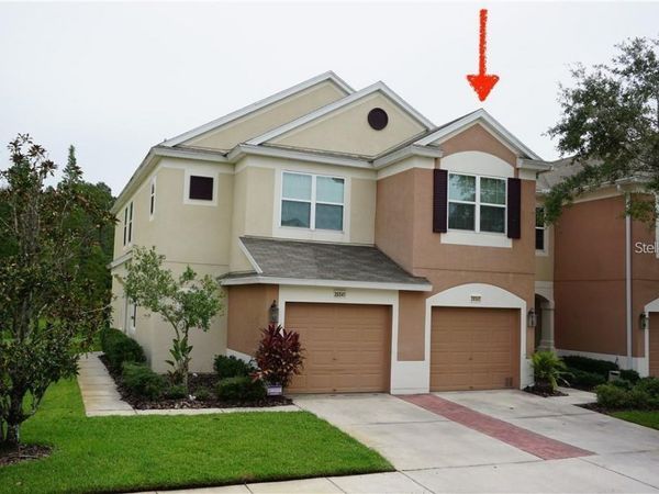 26543 CASTLEVIEW WAY , WESLEY CHAPEL, FL 33544