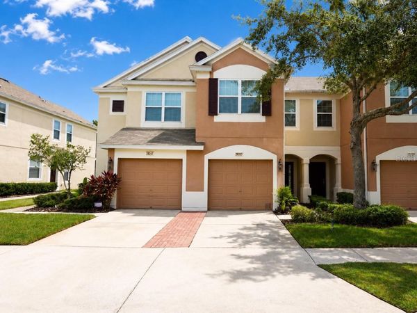 26543 CASTLEVIEW WAY, WESLEY CHAPEL, FL 33544