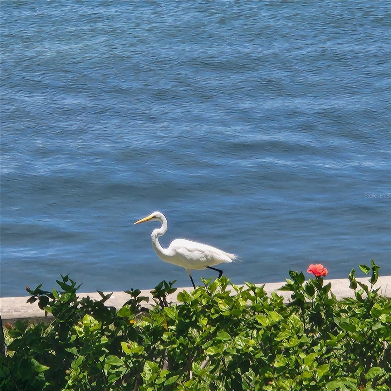 777 John Ringling Boulevard, Unit 24, Sarasota, FL 34236 Photo