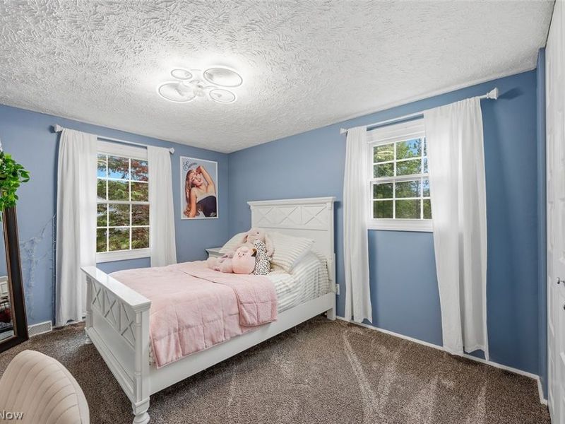 7310 S Meadow Drive, Concord Township, OH 44077 Photo 32