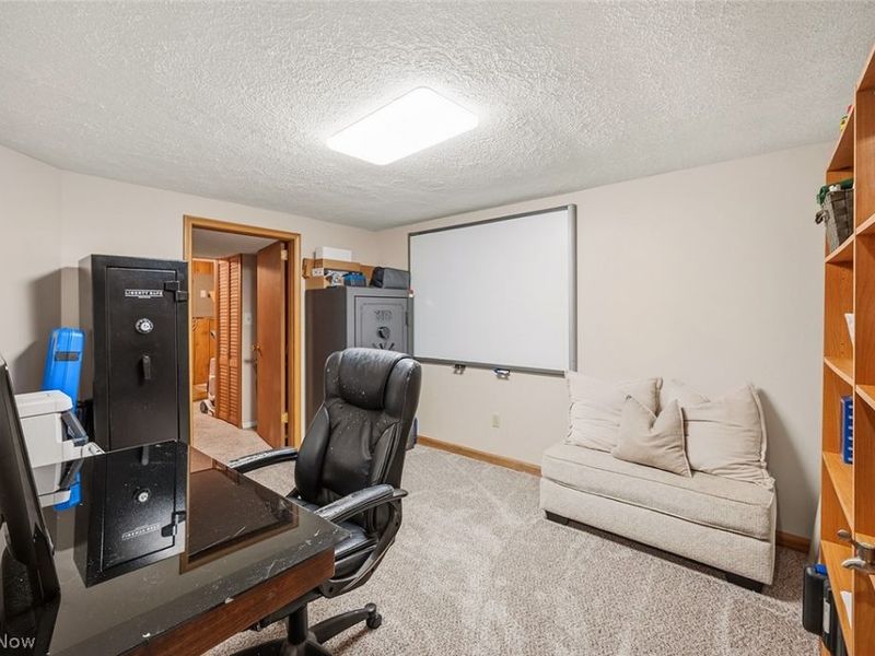7310 S Meadow Drive, Concord Township, OH 44077 Photo 39