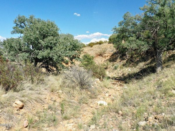 1 S Andalusian Way, Unit 1, Hereford, AZ 85615
