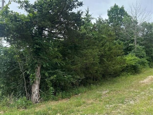 00 Marseilles Drive , Bonne Terre, MO 63628