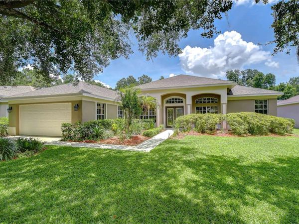 3512 CORDGRASS DRIVE, VALRICO, FL 33596