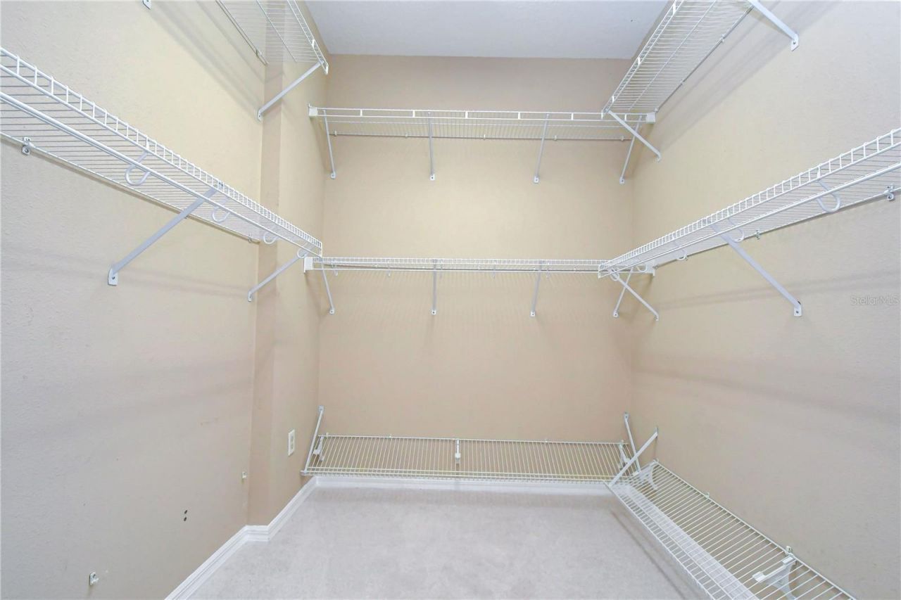 3512 Cordgrass Drive, Valrico, FL 33596 Photo
