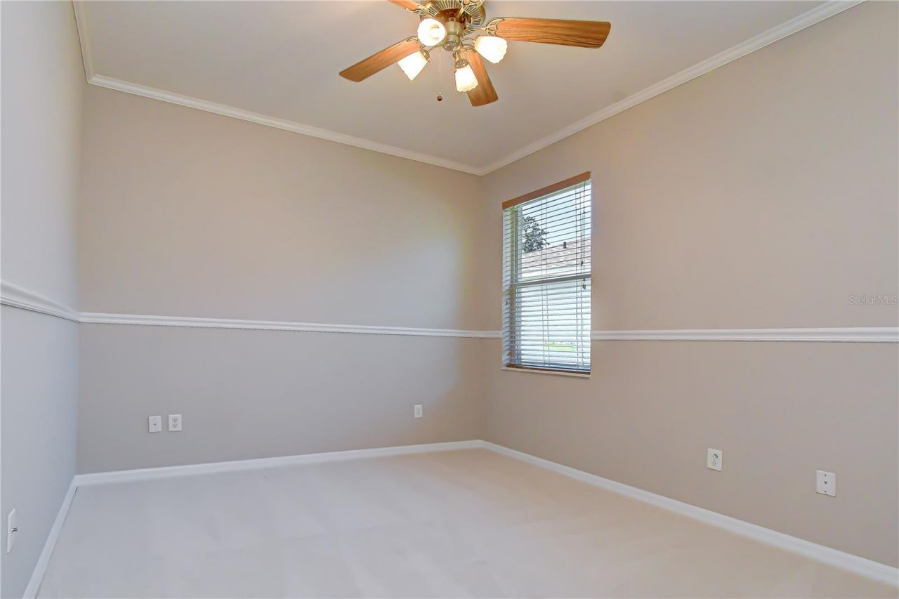 3512 Cordgrass Drive, Valrico, FL 33596 Photo