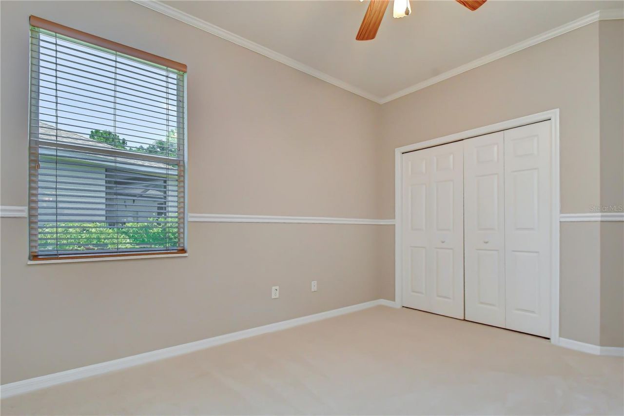3512 Cordgrass Drive, Valrico, FL 33596 Photo