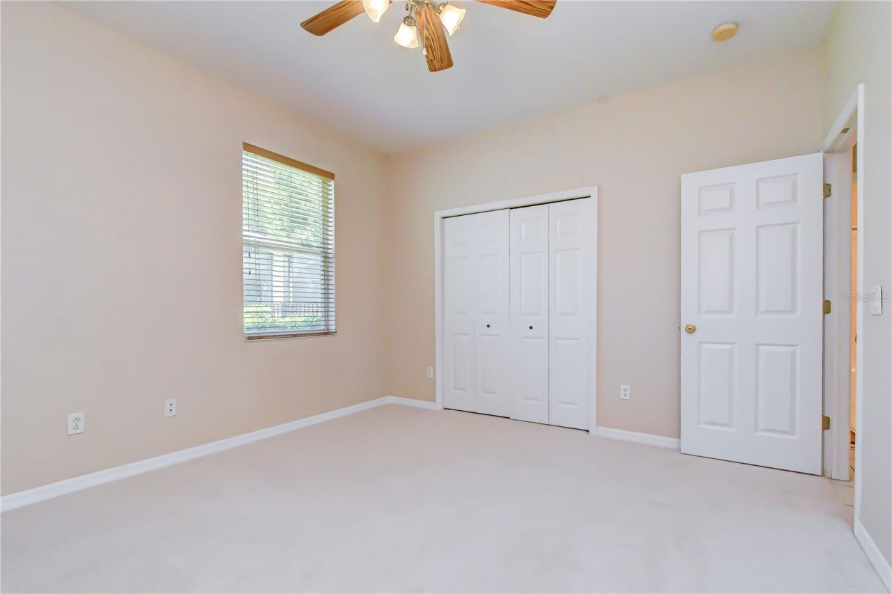 3512 Cordgrass Drive, Valrico, FL 33596 Photo