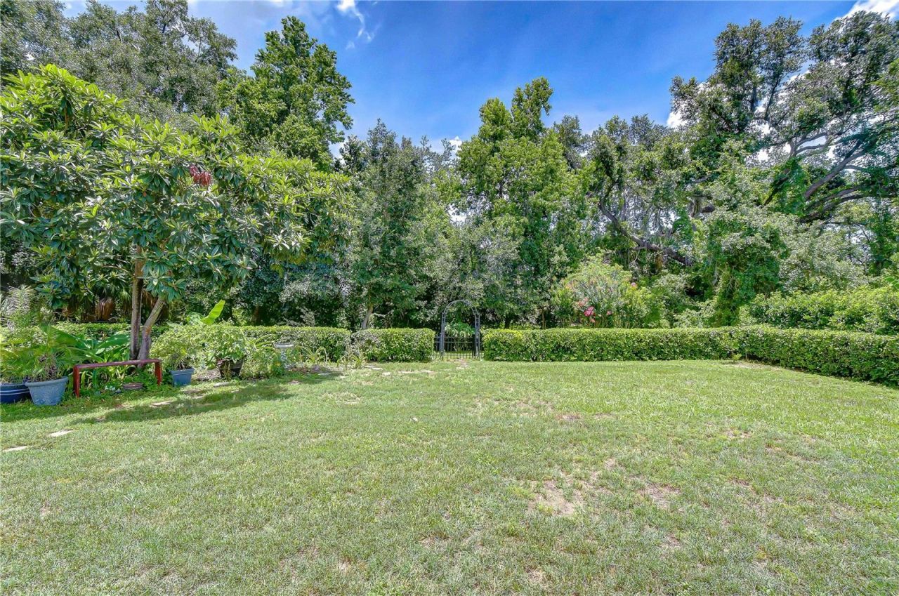 3512 Cordgrass Drive, Valrico, FL 33596 Photo